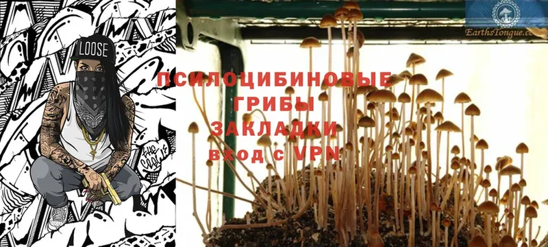 Галлюциногенные грибы MAGIC MUSHROOMS  KRAKEN   Дегтярск 